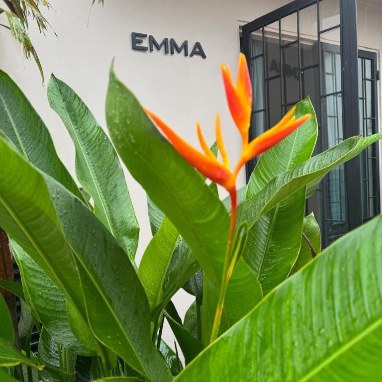 Casa EMMA Girardot - Villa - 2