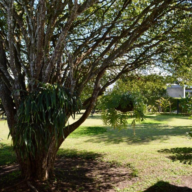 Finca Los Guaduales Exclusive Private Pool - Four-Bedroom House - 2