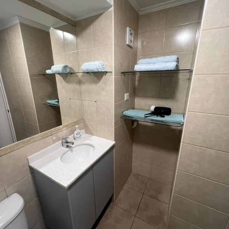 Santiago en las alturas - One-Bedroom Apartment - 13