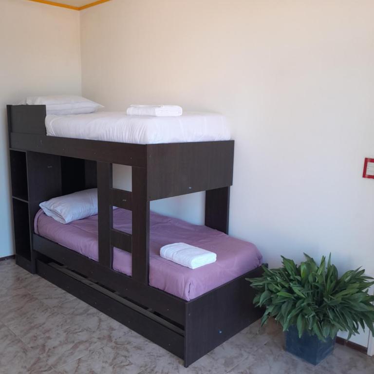 El Pedregullo - Casa de 2 dormitorios - 10