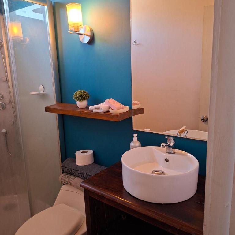 Hermosa cabaña en curacavi - One-Bedroom House - 2