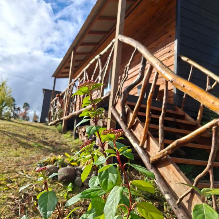 Karu-Terra cabin - Two-Bedroom House - 11