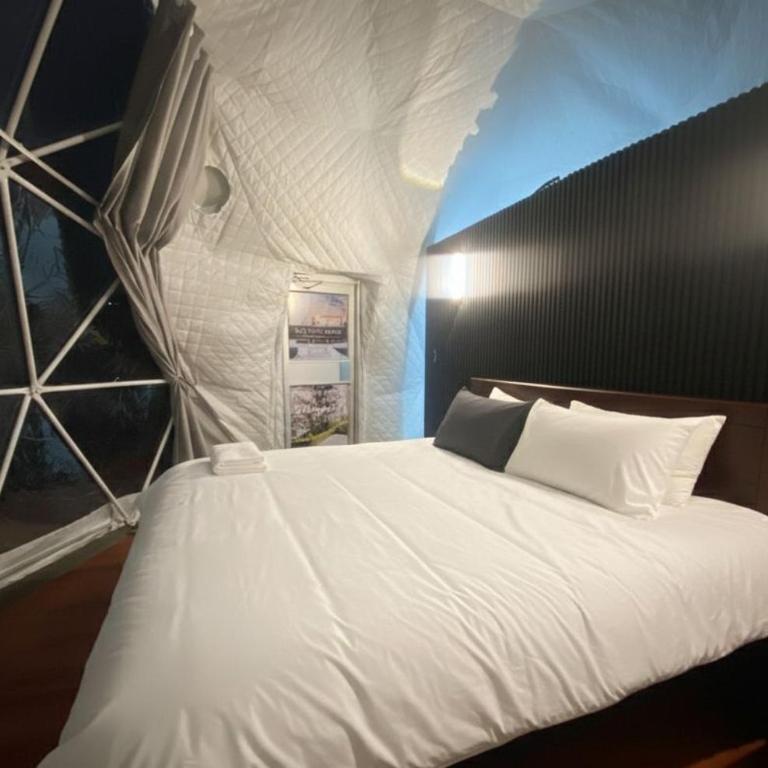 Alta Vista Domo Glamping - Tent - 4