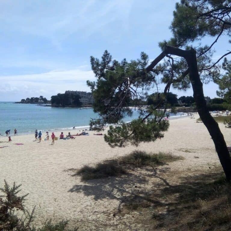 La Villa des Ajoncs, private beach access - Villa - 7