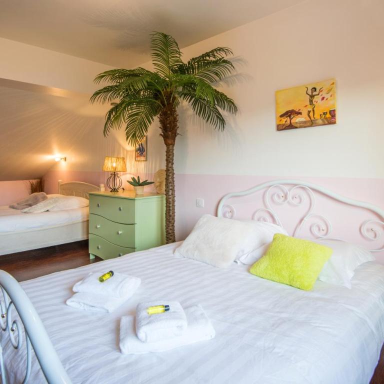 Le nid des ailes piscine jardin parking centre-ville - Villa avec Piscine Privée - 8