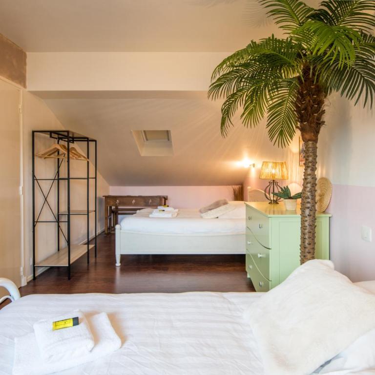 Le nid des ailes piscine jardin parking centre-ville - Villa avec Piscine Privée - 21
