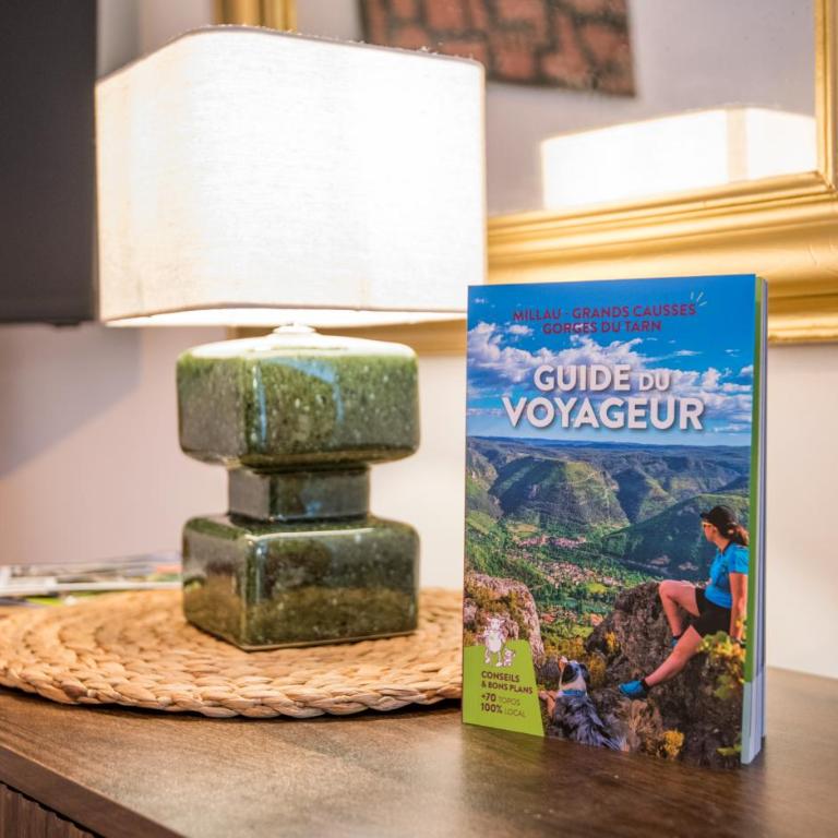Le nid des ailes piscine jardin parking centre-ville - Villa avec Piscine Privée - 33