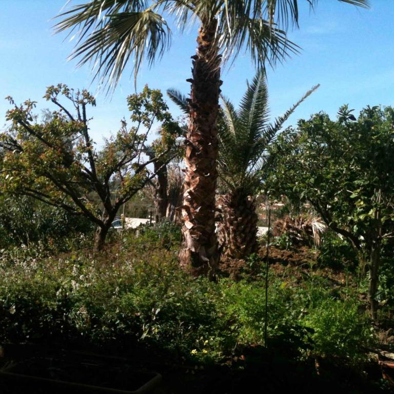 Apartment in Villa Sea Horizon Sand Beach - Casa con 2 Camere da Letto - 26