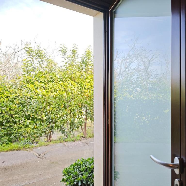 Casa Guerrieri - Appartamento con 1 Camera da Letto - 38