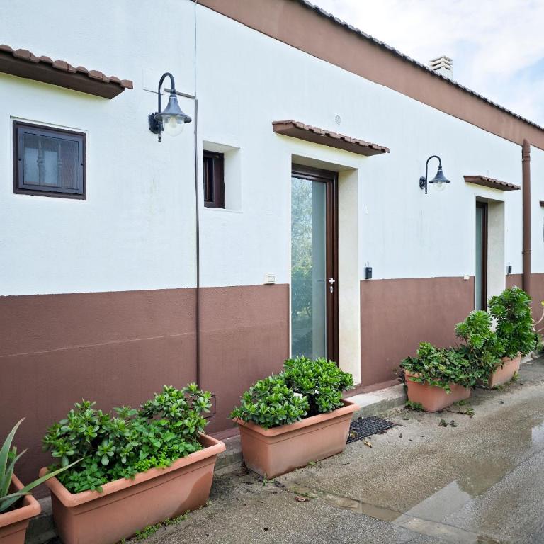 Casa Guerrieri - Appartamento con 1 Camera da Letto - 36