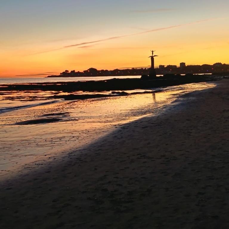 Cap Ardoises - Plage à 500m - Appartement 1 Chambre - 15