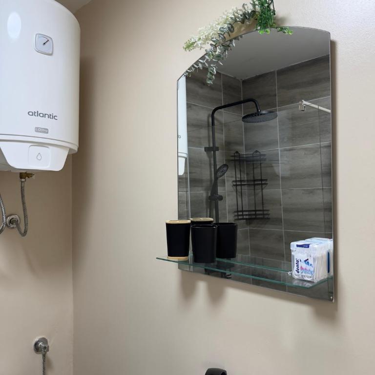 Arija Apartment Sarajevo - Apartman sa 1 Spavaćom Sobom - 14