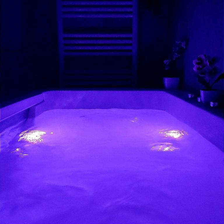 Romantic Suite with Private Jacuzzi & Free Parking - Appartement 1 Chambre - 7