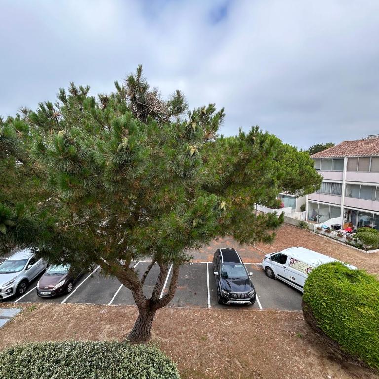 SH210-19E - Appart 2 pièces 4 couchages SAINT HILAIRE DE RIEZ - One-Bedroom Apartment - 9