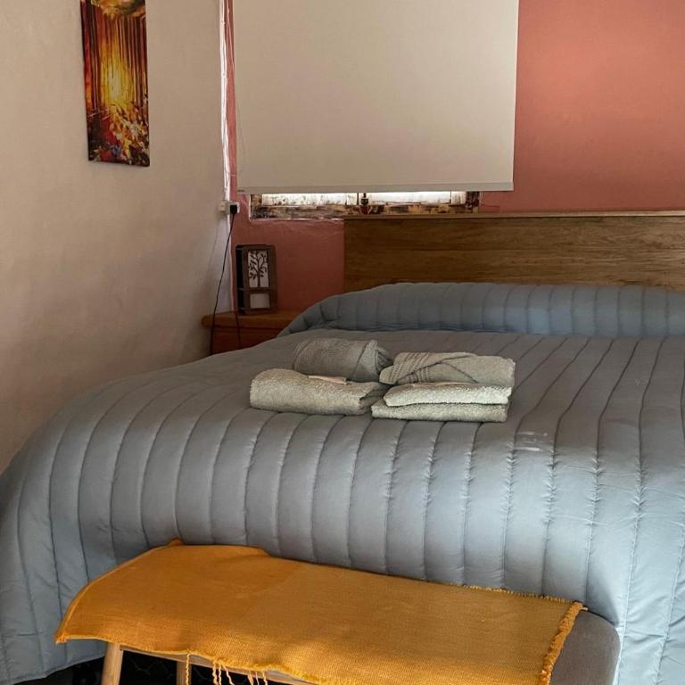 Rancho Lamaral Hostel & Camping - Cama en habitación compartida femenina de 6 camas - 18