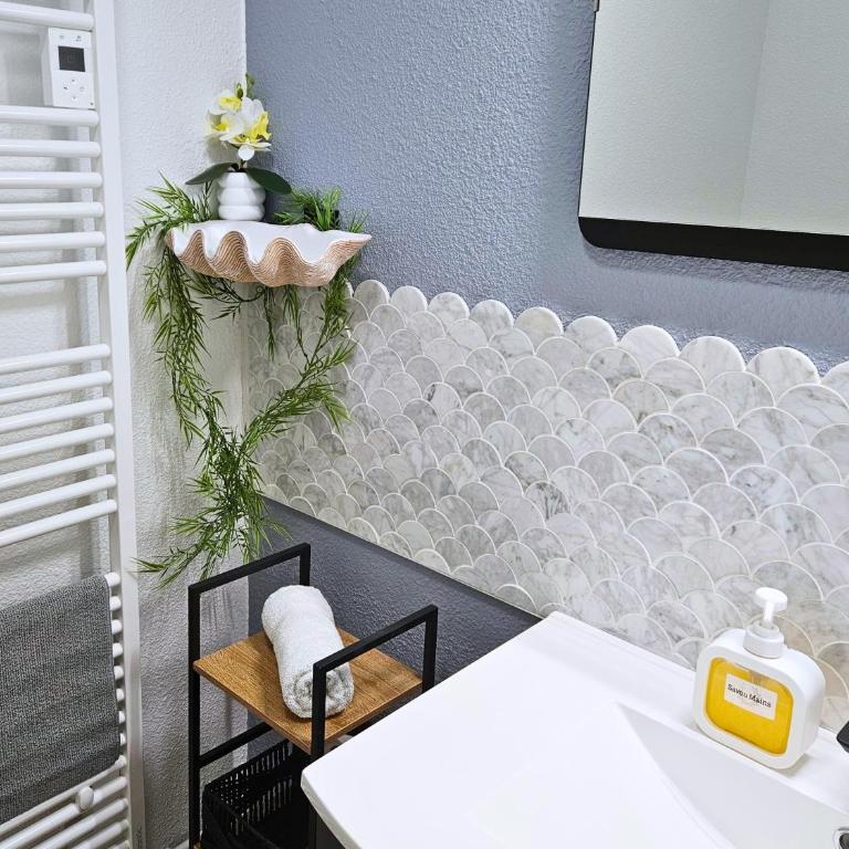 ''Coccinelle'' WIFI - CENTRE - MODERNE - Appartement 1 Chambre - 7