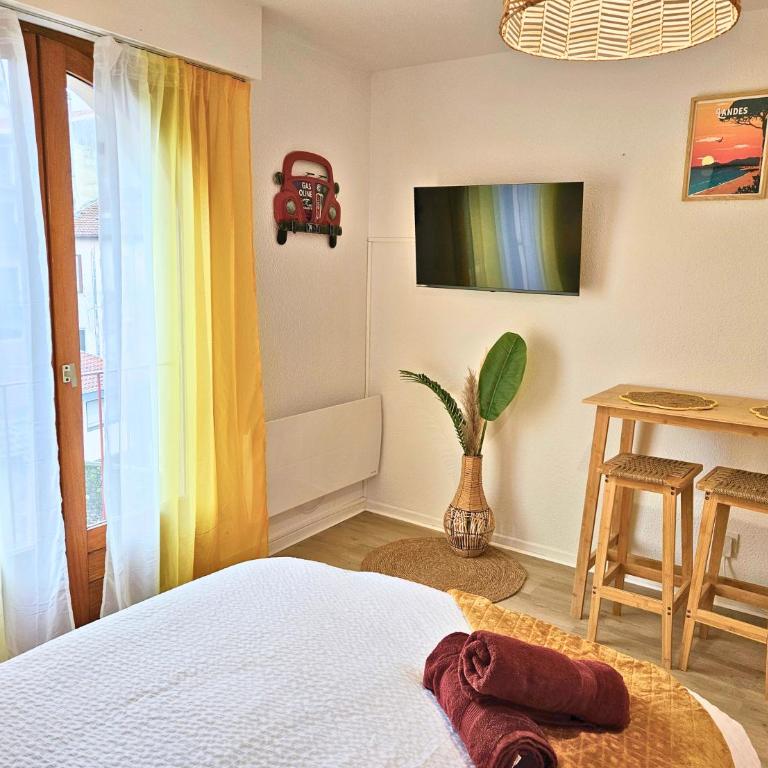 ''Coccinelle'' WIFI - CENTRE - MODERNE - Appartement 1 Chambre - 11