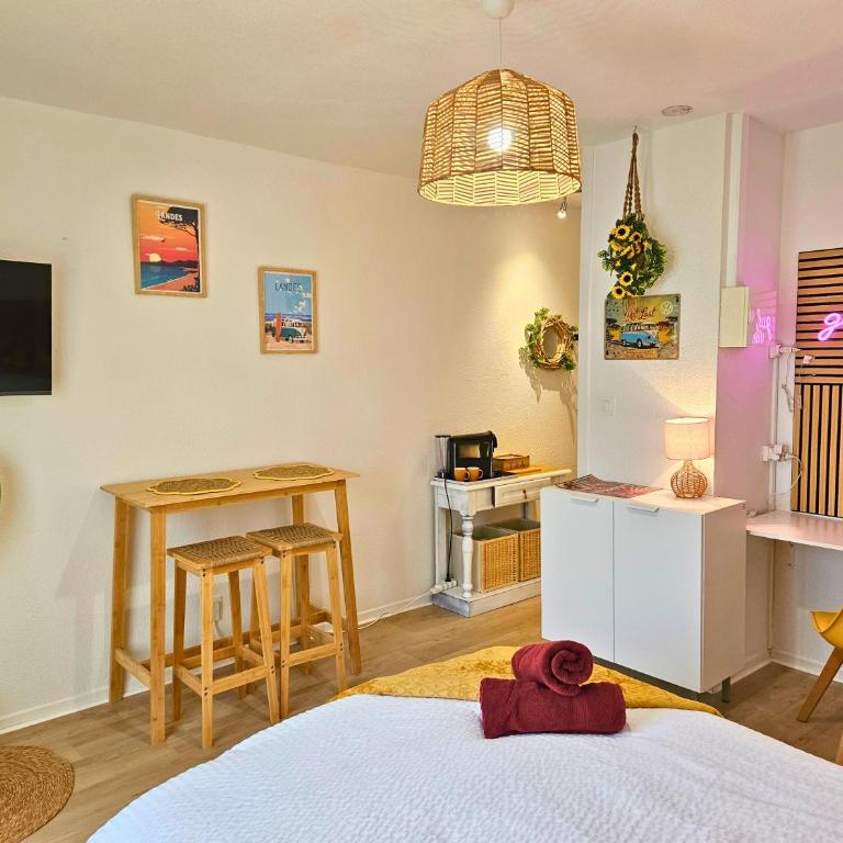 ''Coccinelle'' WIFI - CENTRE - MODERNE - Appartement 1 Chambre - 25