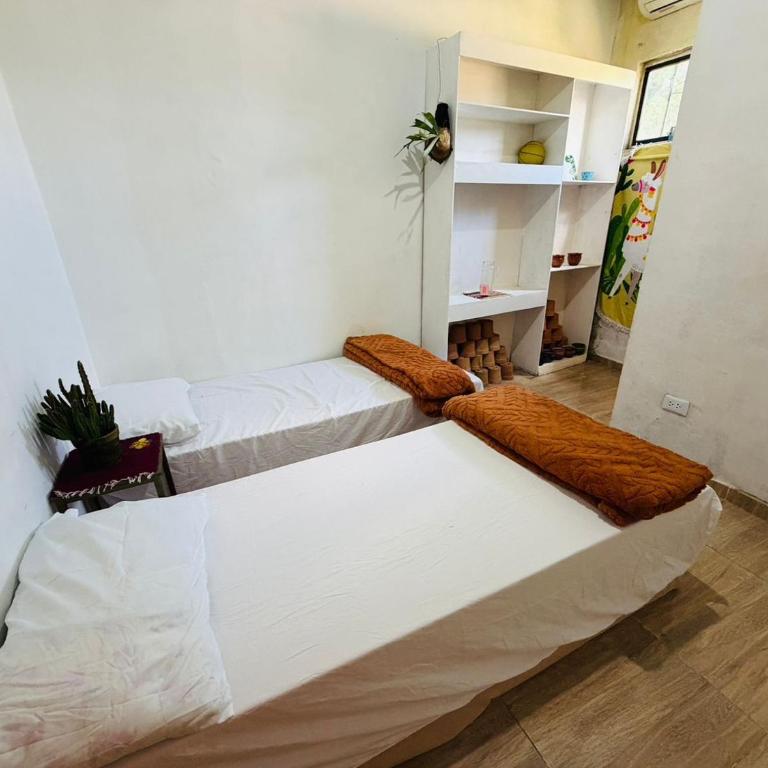 Padma - Mixed Dormitory Room - 11