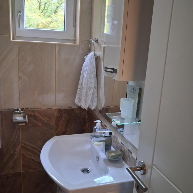 Park 1 - Apartman sa 1 Spavaćom Sobom - 9