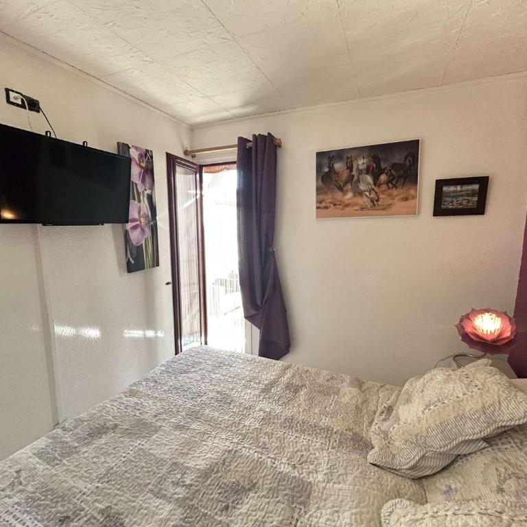 Cap d'Agde 34- Appart T2 jardin - Haut de Saint Martin CT415-002 - One-Bedroom Apartment with Garden - 12