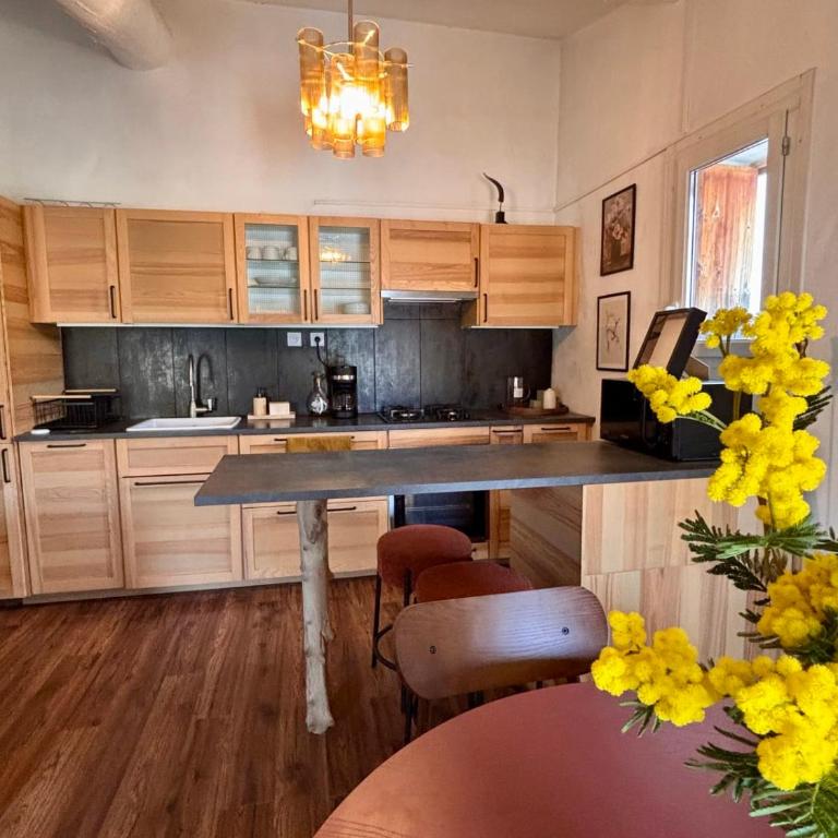 Les Ombres charmant duplex en centre ville - Appartement - 9