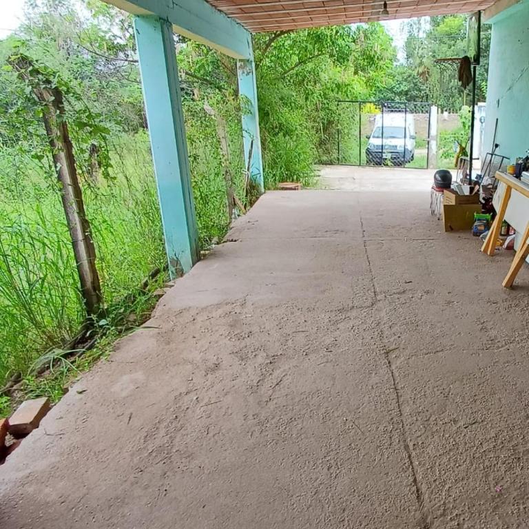 casa para carpas - Tienda - 1