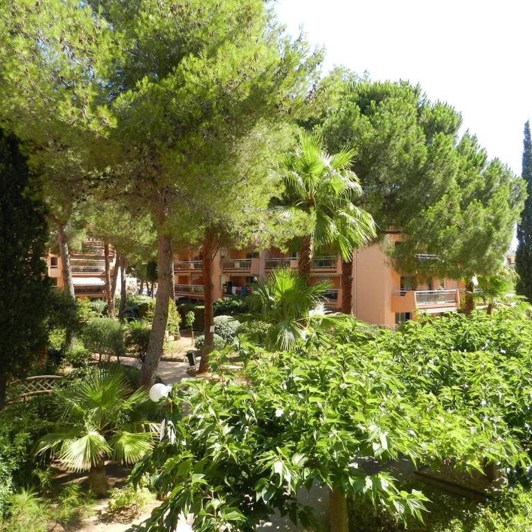 BO240-A09 Appartement Studio 4 couchages BORMES LES MIMOSAS - Studio - 7