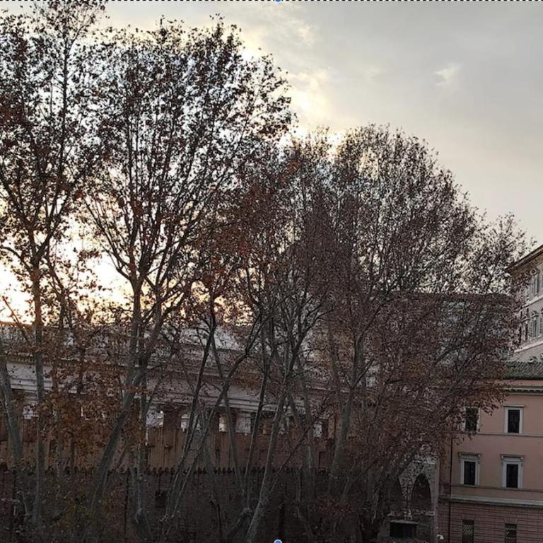 Vatican Retreat- 2bedrooms and 2 bathrooms - Appartamento con 2 Camere da Letto e Terrazza - 6