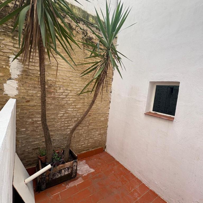 Magallanes 8 - Loft A - Triana - - Apartamento de 1 dormitorio - 14