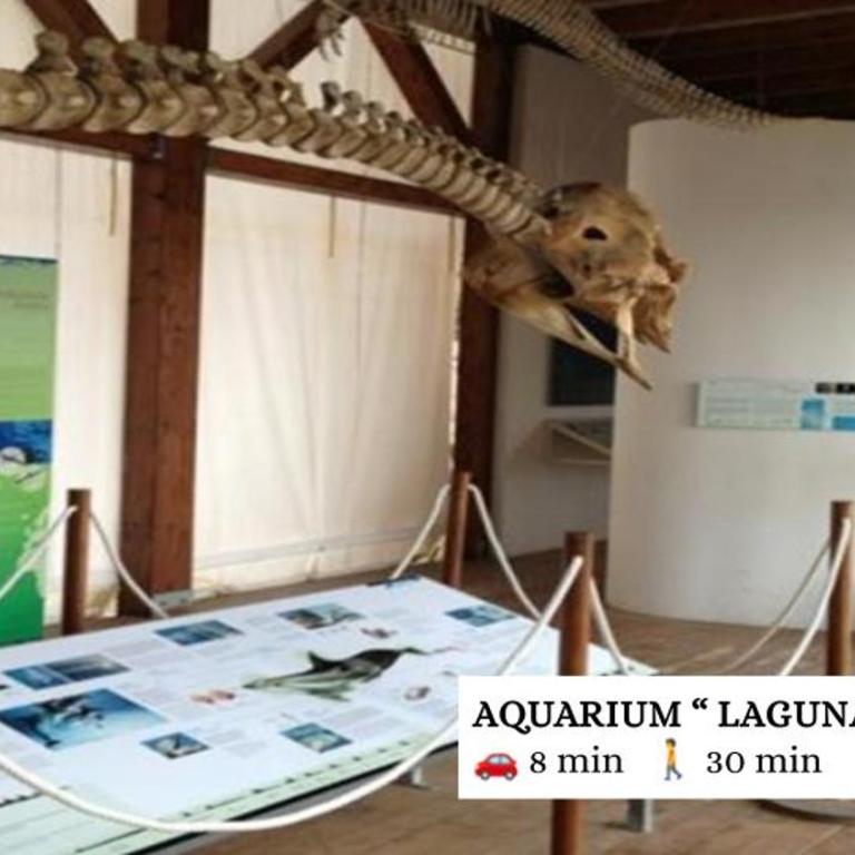 Mare e Centro 5 min auto - con Wi-fi, Netflix e A-C - Casa con 2 Camere da Letto - 39