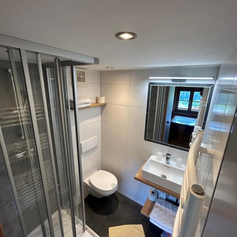 Blashof seit 1693 - Apartments Schladming - Apartment - 4