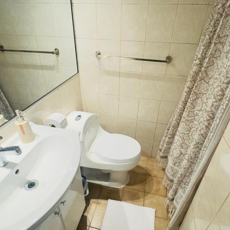 Hermoso Departamento, En la Mejor Ubicación - One-Bedroom Apartment - 16