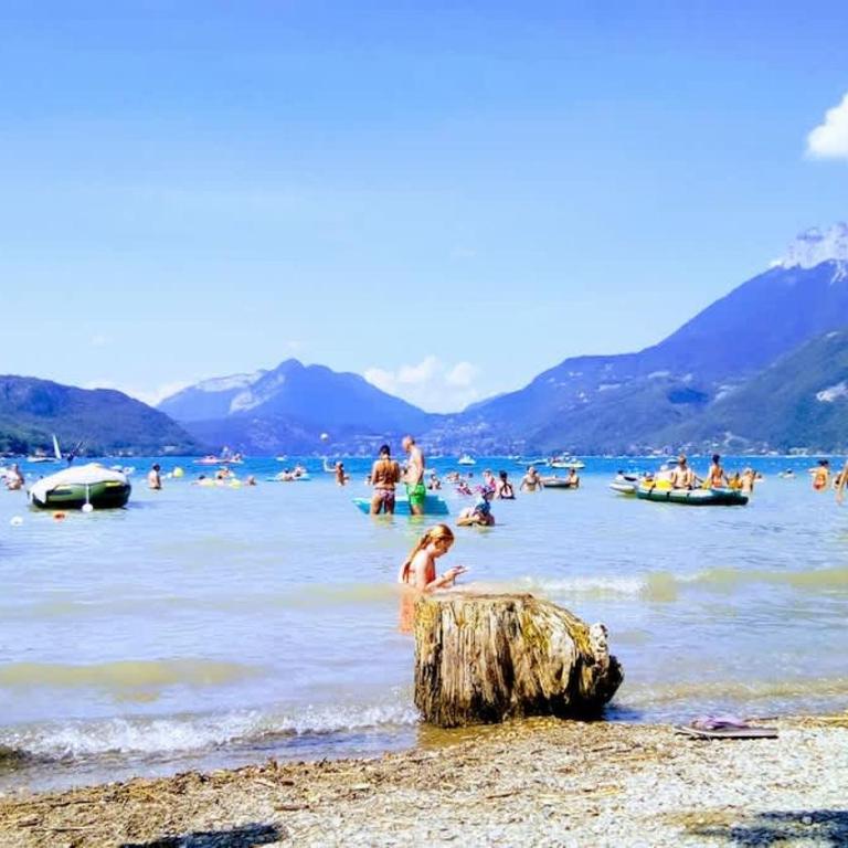 Cabin No 7 Annecy Lake - Chalet - 27