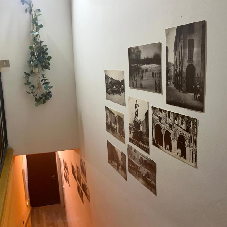 A Modo Mio - Monolocale - Zona Stadio Ospedale Maggiore - One-Bedroom Apartment - 23