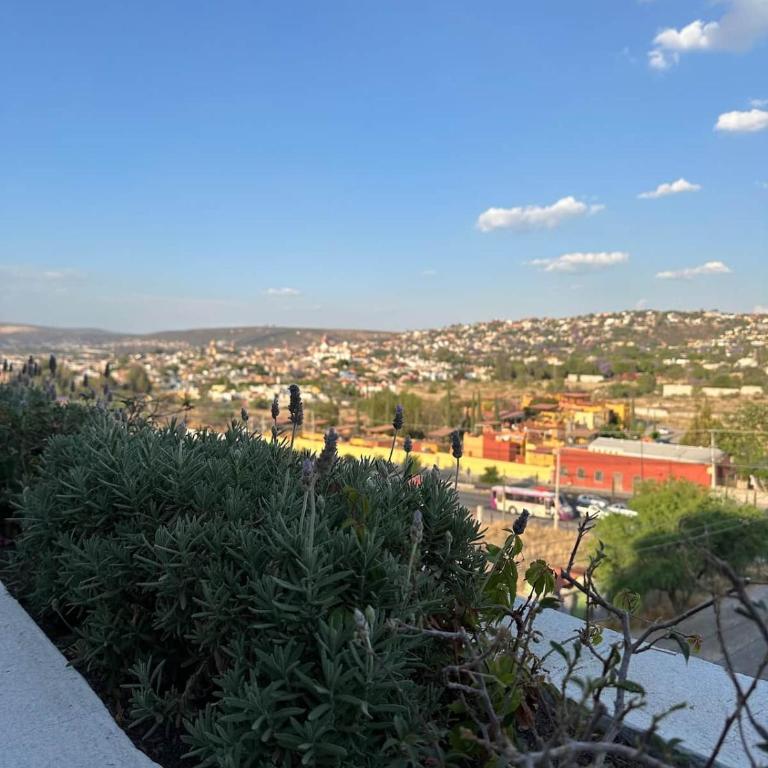 San Miguel Allende Apto 31 - Apartamento de 2 dormitorios - 23