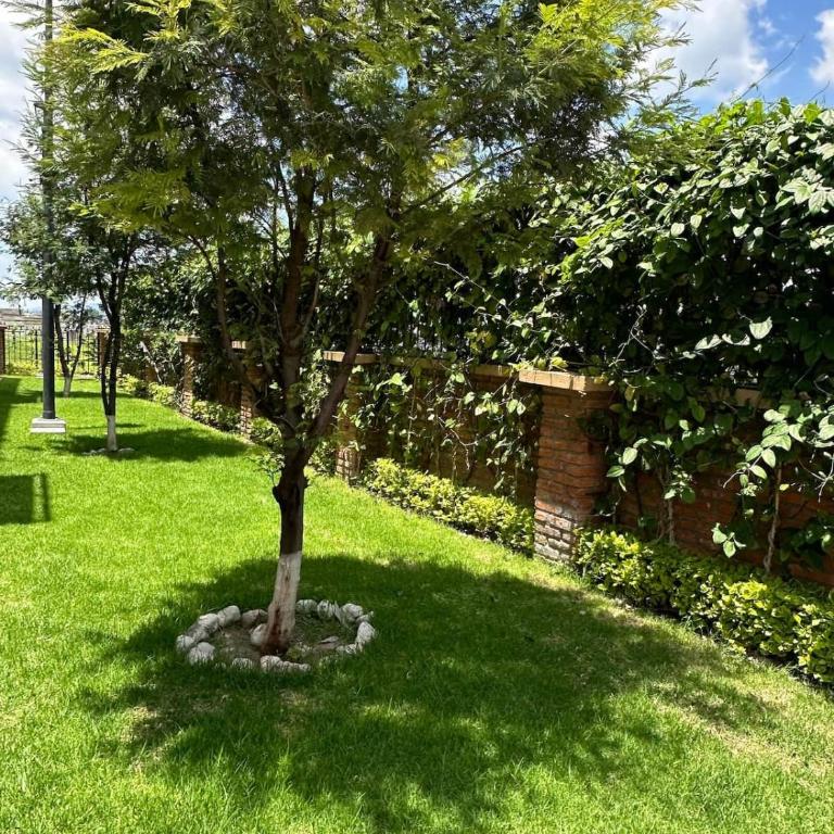 San Miguel Allende Apto 27 - Apartamento de 2 dormitorios - 61