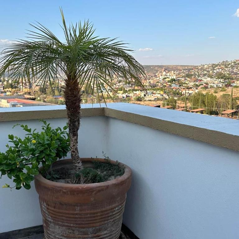 San Miguel de Allende Apto 36 - Apartamento con vistas y balcón - 4