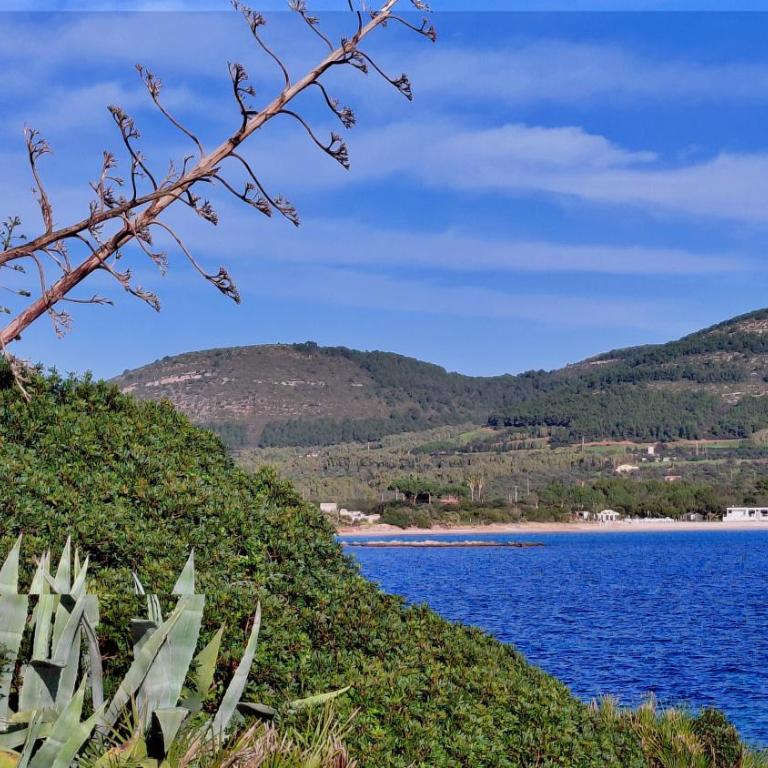 Torre Lazzaretto Seafront House - Appartamento - 30