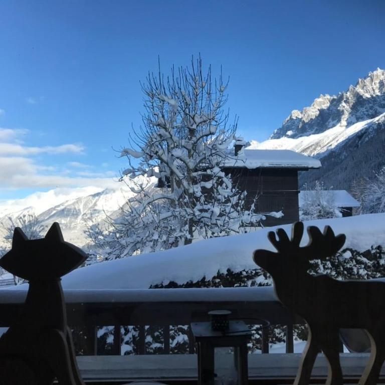 Chalet du Gouter - Chalet 3 Chambres - 19