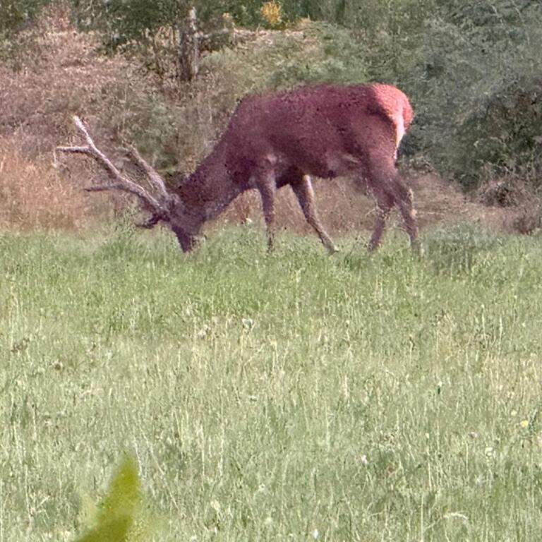 Chalet du Gouter - Chalet 3 Chambres - 31