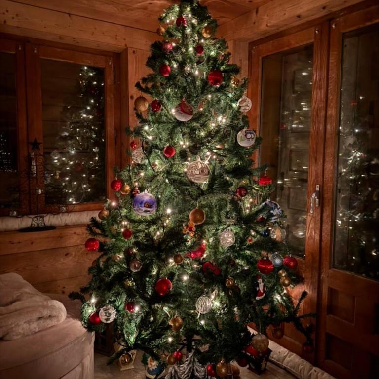 Chalet du Gouter - Chalet 3 Chambres - 59