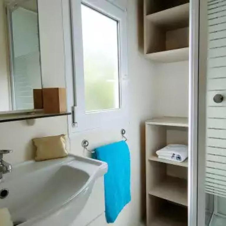 ZEcamping 3 parc aquatique piscine à 2km de la plage animaux acceptés - Casa Mobile - 10