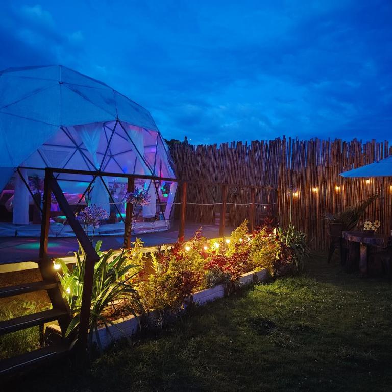 Glamping Claro de Luna - Domo Bambú - 12