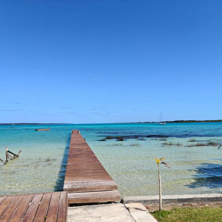 Departamentos Blue Bacalar - Apartamento de 1 dormitorio - 5