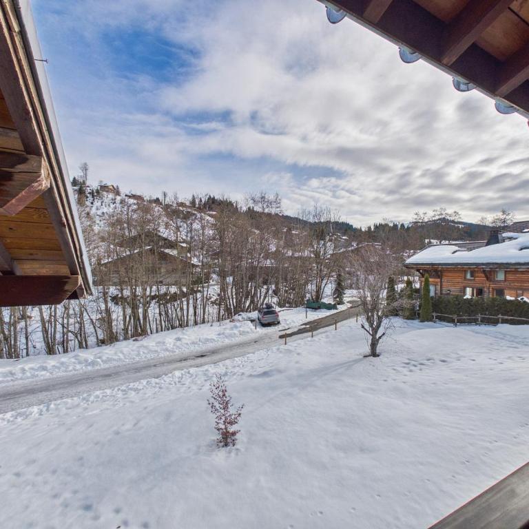 Les Gets - Studio Mezzanine 4 pers, Animaux Acceptés, Parking - FR-1-623-322 - Monolocale - 13