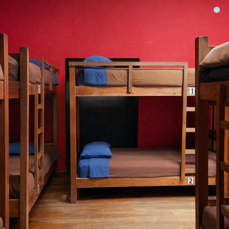 Wild Rover La Paz - Bed in 20-Bed Mixed Dormitory Room with Shared Bathroom - 3