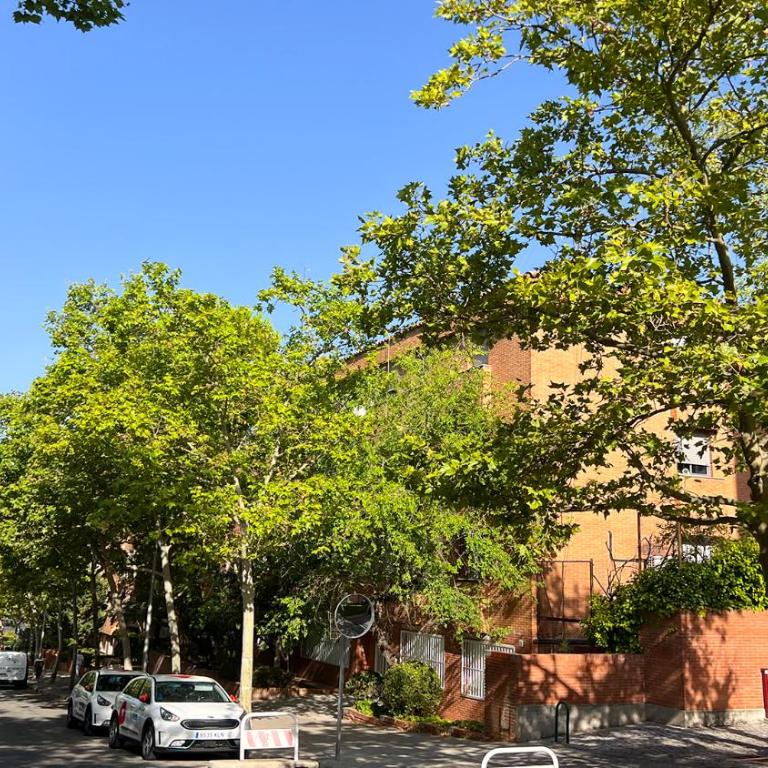 Alamansa 110, Apartamento A - Apartamento de 2 dormitorios - 21