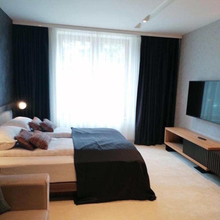 WOODSIDE SPA AND PARKING 323 Kopaonik011 - Duplex Apartment - 5