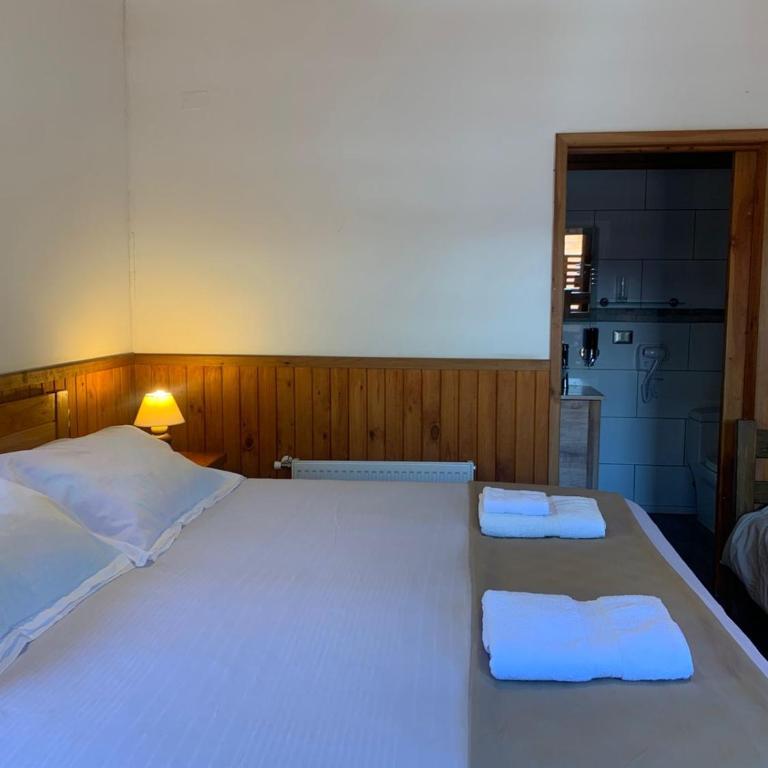 HOTEL & HOSTAL CHIL'IN, Las Trancas - Superior Triple Room - 3